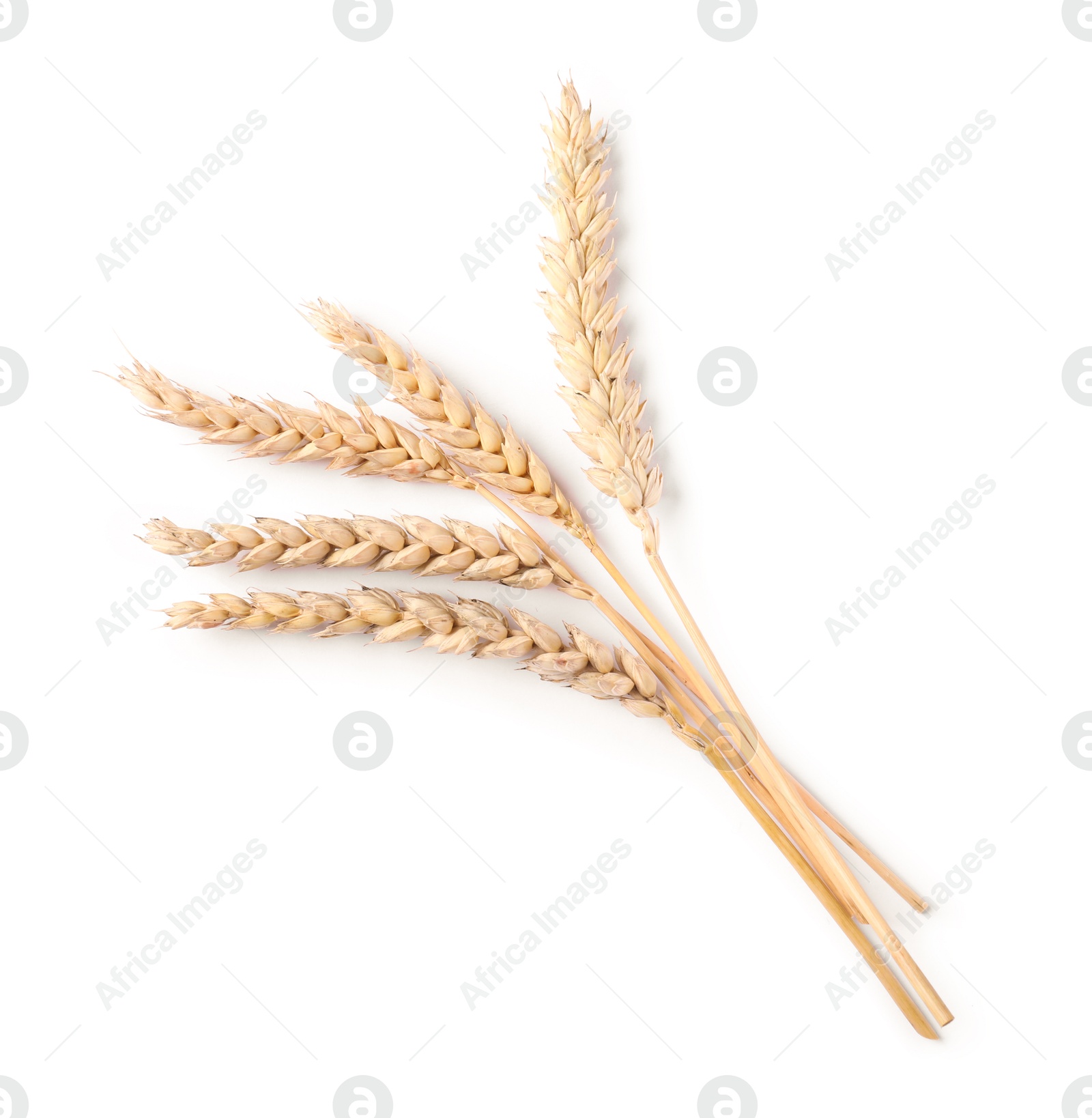 Many dried wheat ears isolated on white, top view Photo of Many dried wheat ears isolated on white, top view