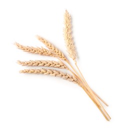 Photo of Many dried wheat ears isolated on white, top view