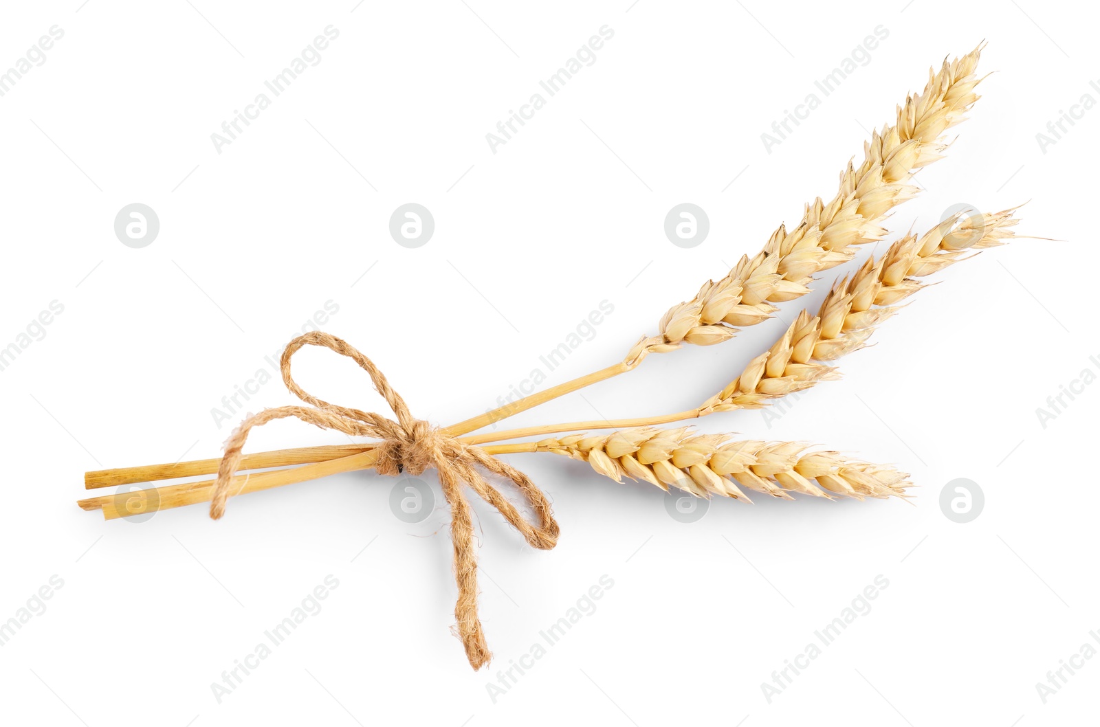 Bunch of dried wheat ears isolated on white, top view Photo of Bunch of dried wheat ears isolated on white, top view