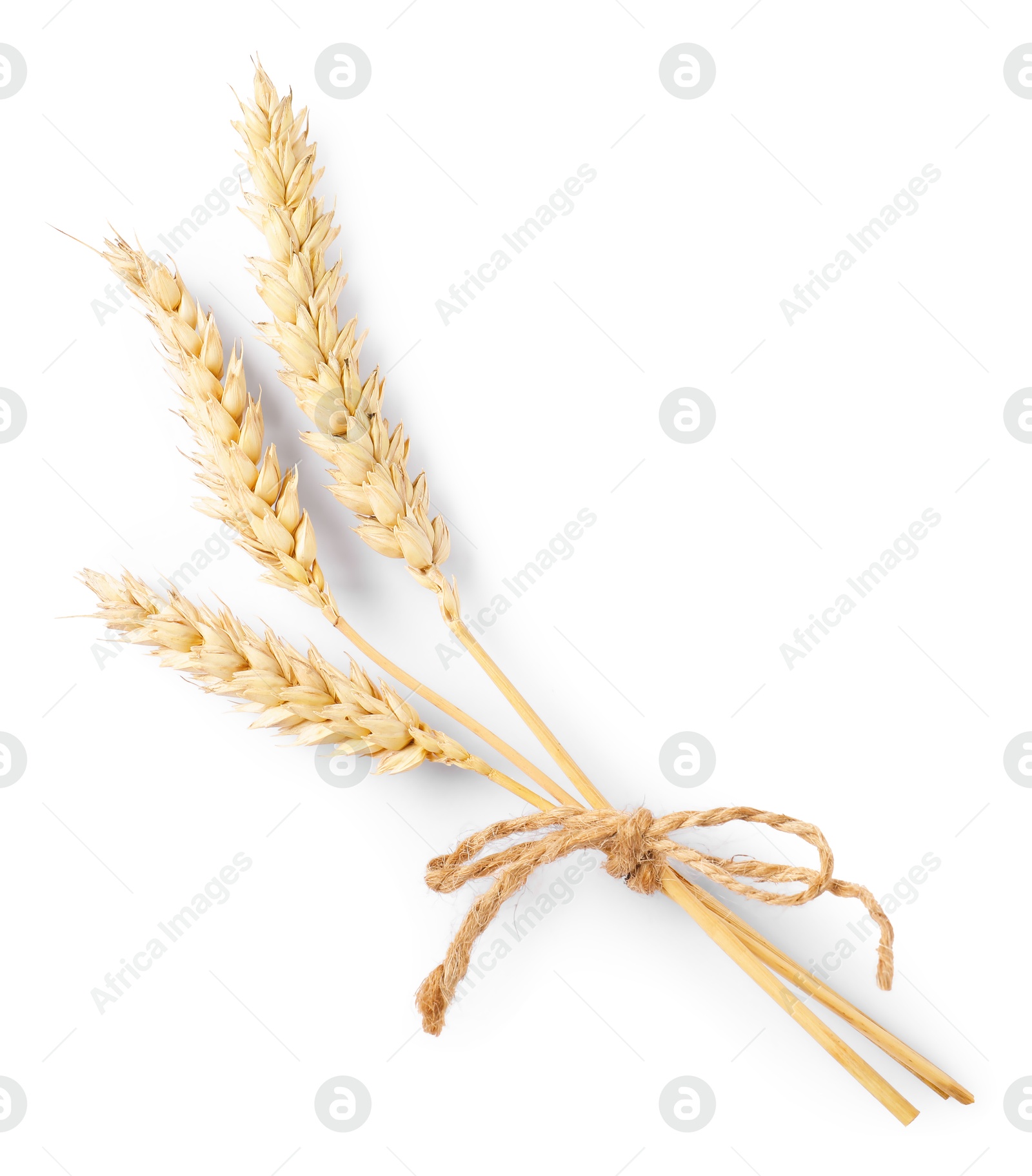 Bunch of dried wheat ears isolated on white, top view Photo of Bunch of dried wheat ears isolated on white, top view