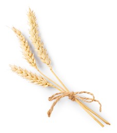 Photo of Bunch of dried wheat ears isolated on white, top view