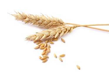 Photo of Dried wheat ears and seeds isolated on white