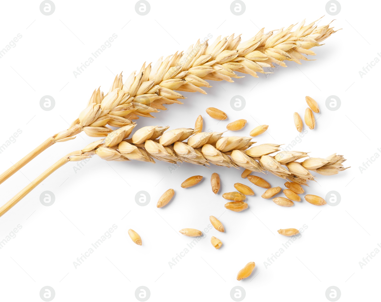 Two dried wheat ears and seeds isolated on white, top view Photo of Two dried wheat ears and seeds isolated on white, top view