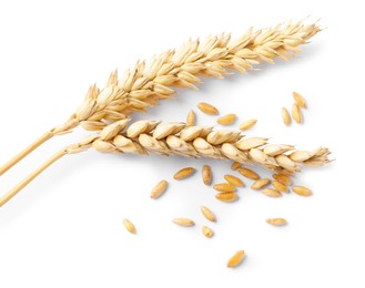 Photo of Two dried wheat ears and seeds isolated on white, top view