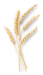 Photo of Many dried wheat ears isolated on white, top view
