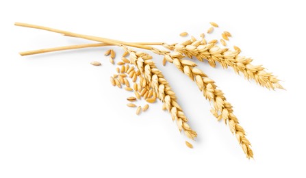 Photo of Many dried wheat ears and seeds isolated on white