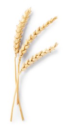 Photo of Many dried wheat ears isolated on white, top view