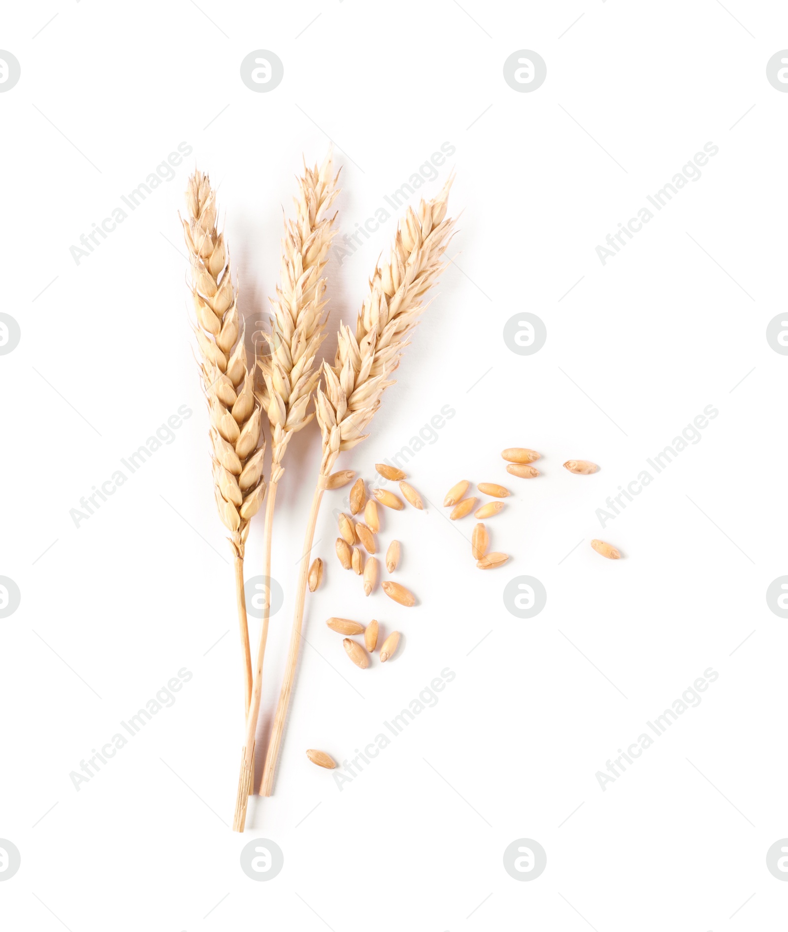 Many dried wheat ears and seeds isolated on white, top view Photo of Many dried wheat ears and seeds isolated on white, top view