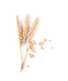 Photo of Many dried wheat ears and seeds isolated on white, top view