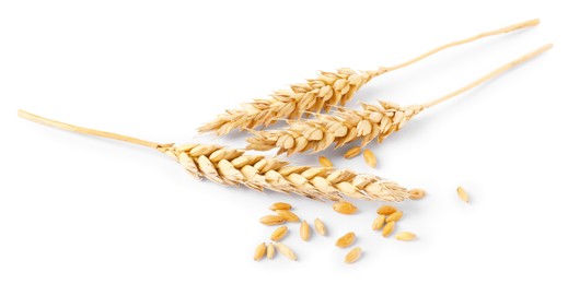 Photo of Many dried wheat ears and seeds isolated on white