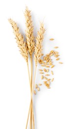 Photo of Many dried wheat ears and seeds isolated on white, top view