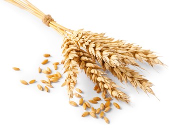 Photo of Bunch of wheat ears and seeds isolated on white