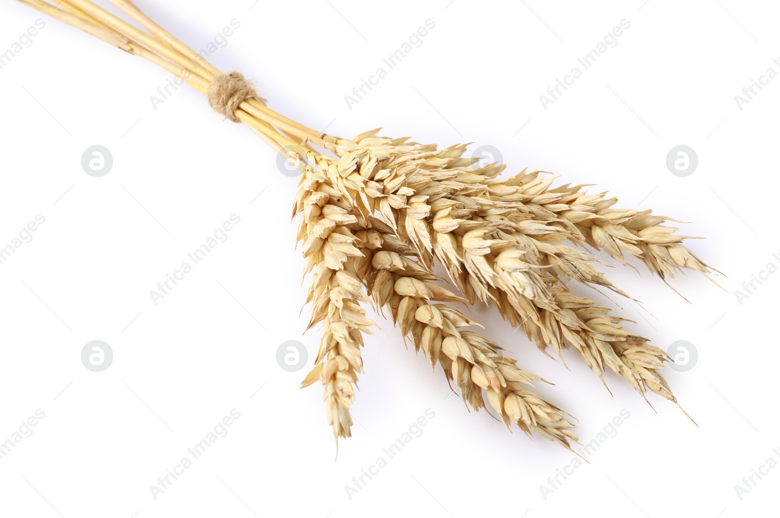 Bunch of wheat ears isolated on white Photo of Bunch of wheat ears isolated on white
