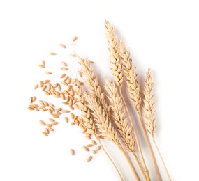 Photo of Many dried wheat ears and seeds isolated on white, top view