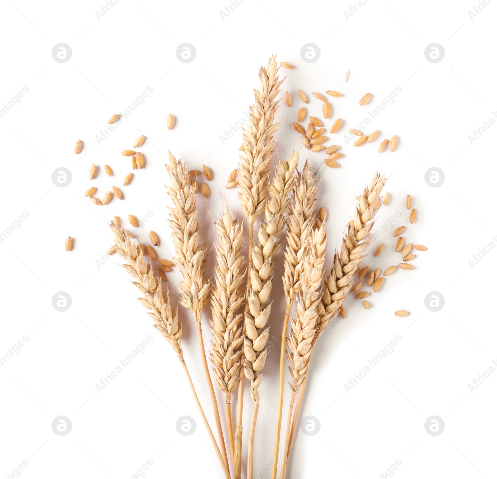 Many dried wheat ears and seeds isolated on white, top view Photo of Many dried wheat ears and seeds isolated on white, top view