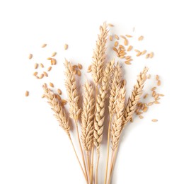 Photo of Many dried wheat ears and seeds isolated on white, top view