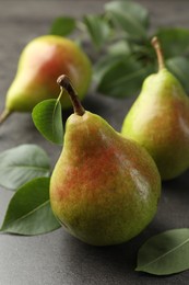 Photo of Fresh ripe pears and green leaves on grey table, closeup