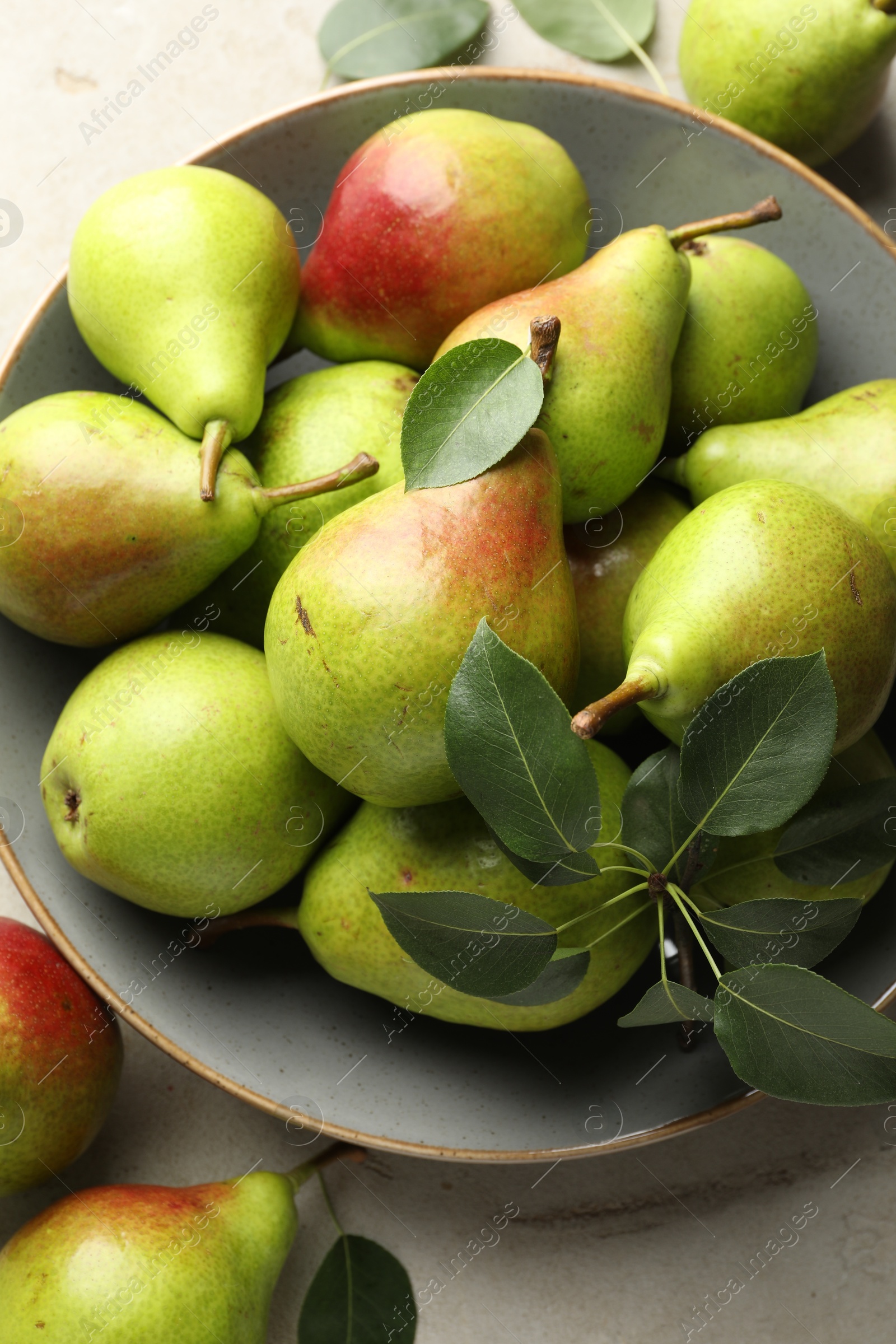 Fresh ripe pears and green leaves on light grey table, flat lay Photo of Fresh ripe pears and green leaves on light grey table, flat lay
