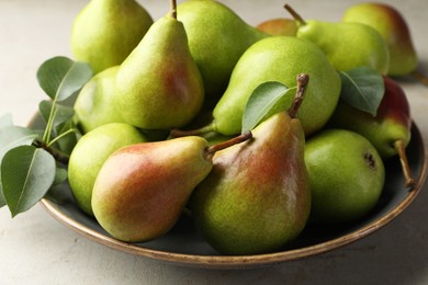 Photo of Fresh ripe pears and green leaves on light grey table, closeup