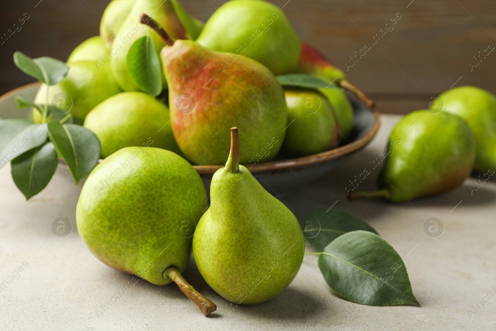 Photo of Fresh ripe pears and green leaves on light grey table, closeup