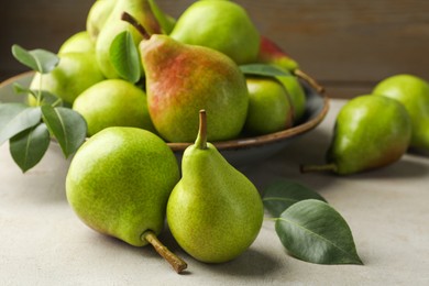 Photo of Fresh ripe pears and green leaves on light grey table, closeup