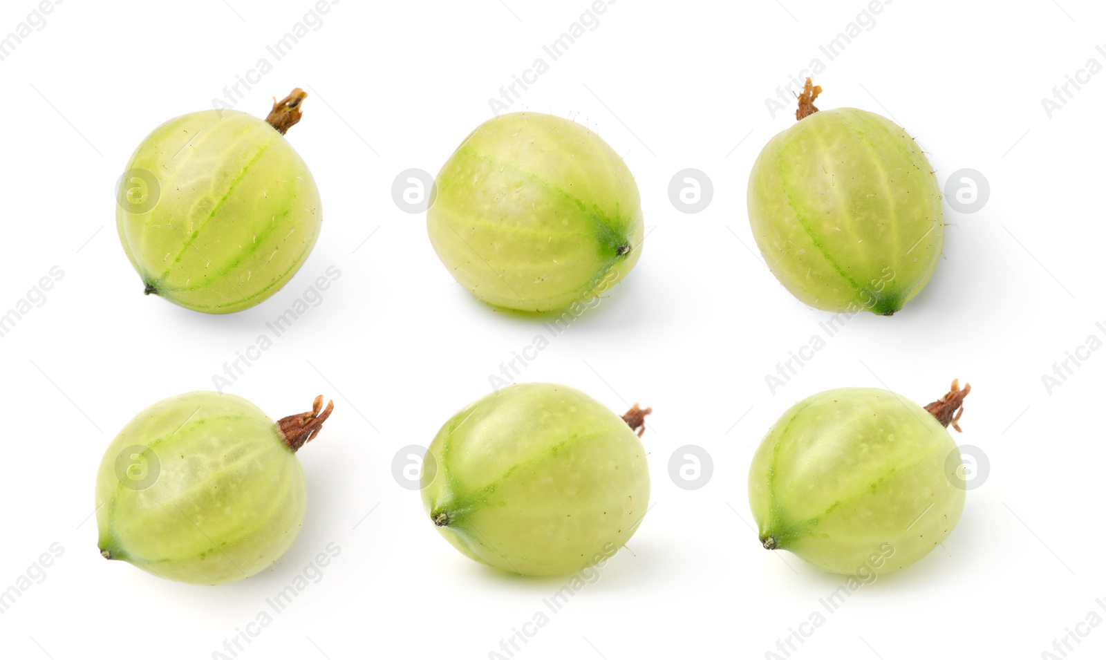 Fresh green gooseberries on white background, set Image of Fresh green gooseberries on white background, set