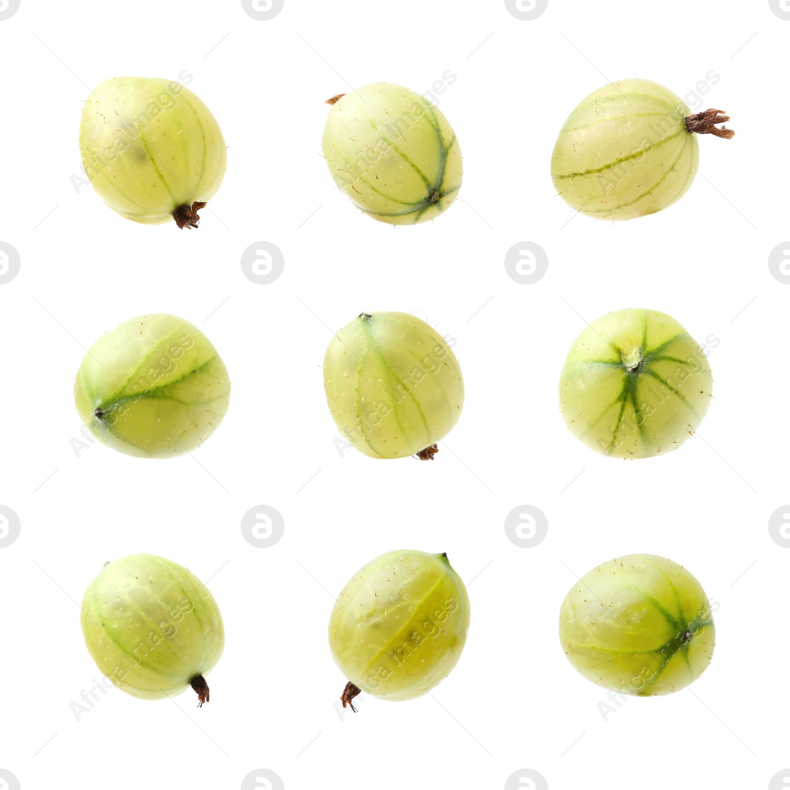 Fresh green gooseberries on white background, set Image of Fresh green gooseberries on white background, set