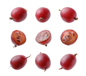 Image of Fresh red gooseberries on white background, set