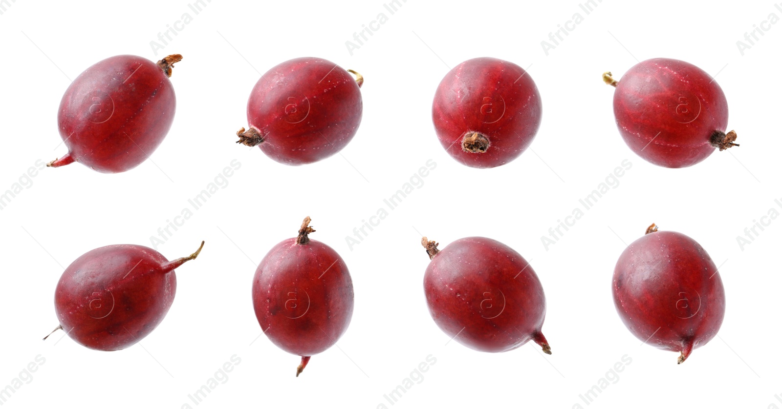 Fresh red gooseberries on white background, set Image of Fresh red gooseberries on white background, set
