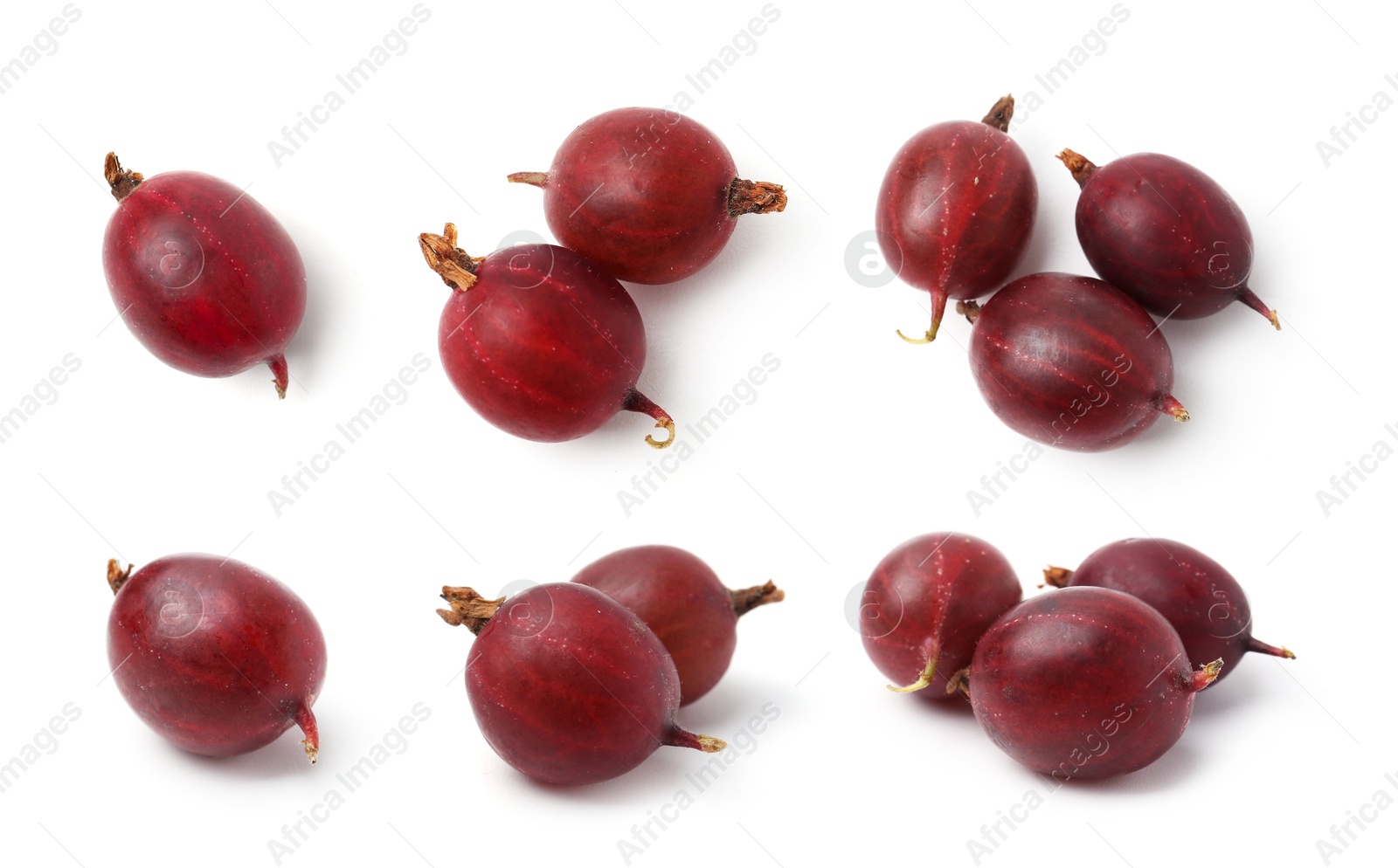 Fresh red gooseberries on white background, set. Top and side view Image of Fresh red gooseberries on white background, set. Top and side view