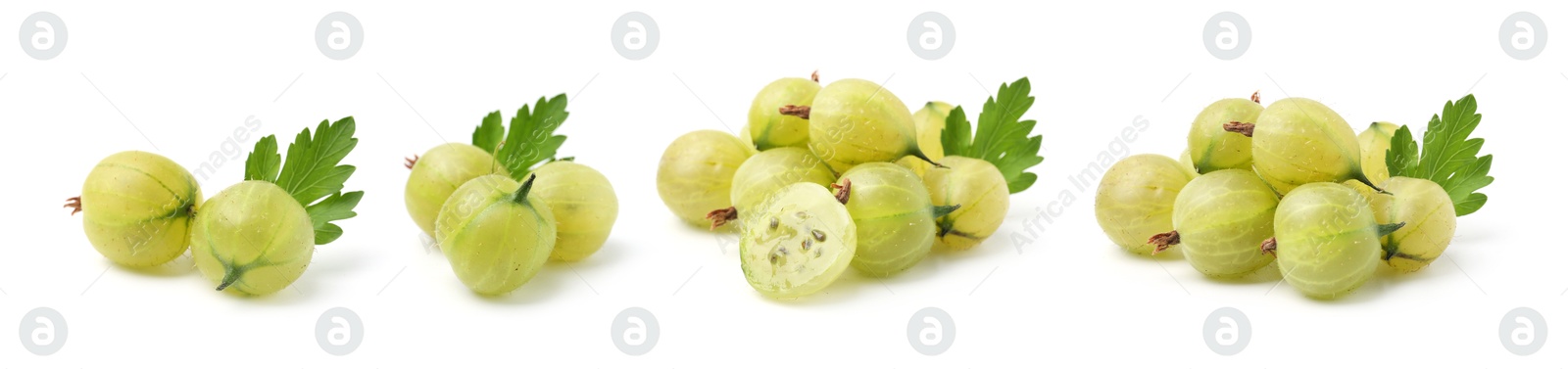 Fresh green gooseberries on white background, set Image of Fresh green gooseberries on white background, set