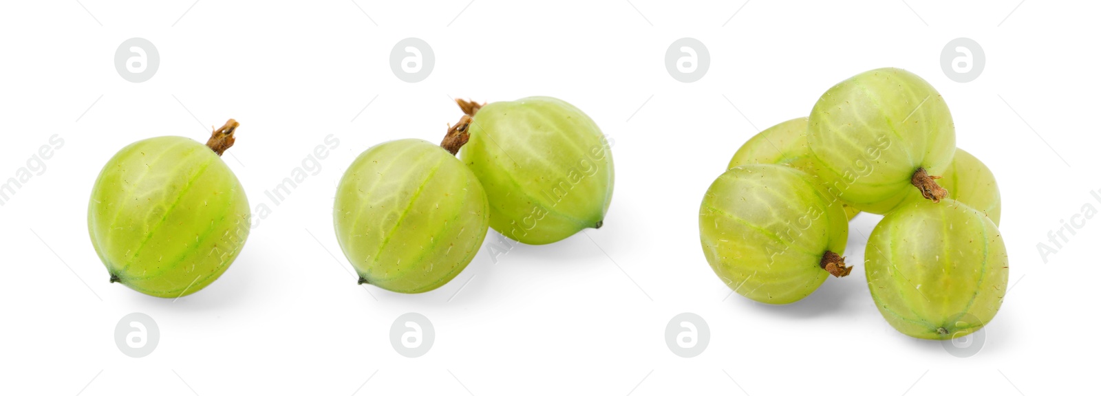 Fresh green gooseberries on white background, set Image of Fresh green gooseberries on white background, set