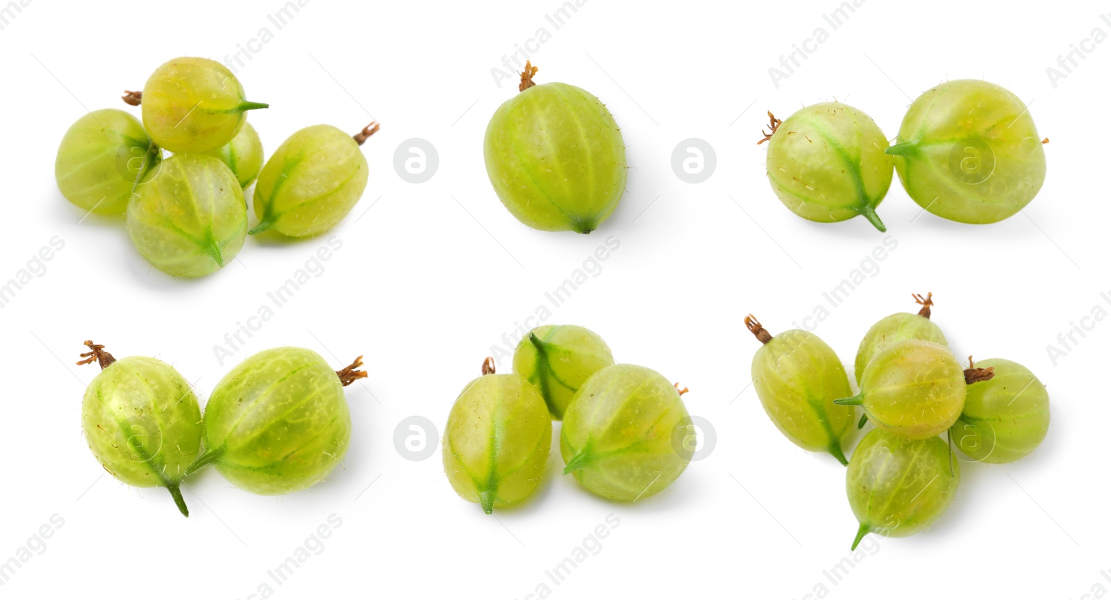 Fresh green gooseberries on white background, set Image of Fresh green gooseberries on white background, set