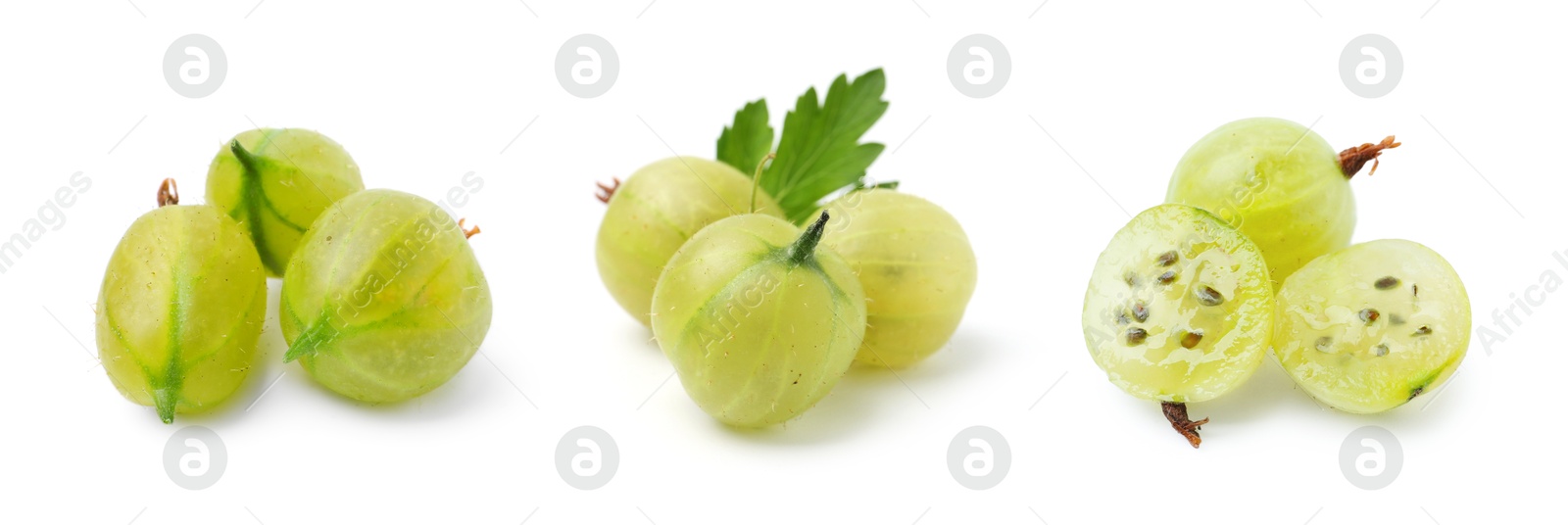 Fresh green gooseberries on white background, set Image of Fresh green gooseberries on white background, set