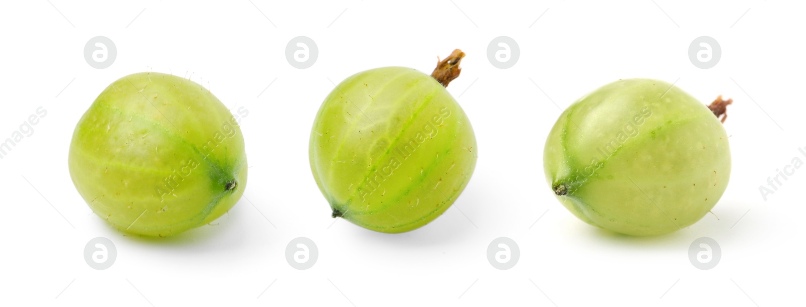 Fresh green gooseberries on white background, set Image of Fresh green gooseberries on white background, set