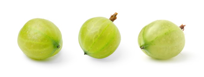 Image of Fresh green gooseberries on white background, set