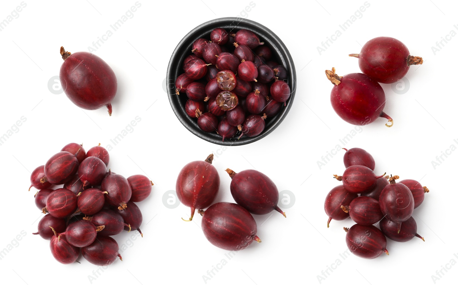 Fresh red gooseberries on white background, set. Top view Image of Fresh red gooseberries on white background, set. Top view