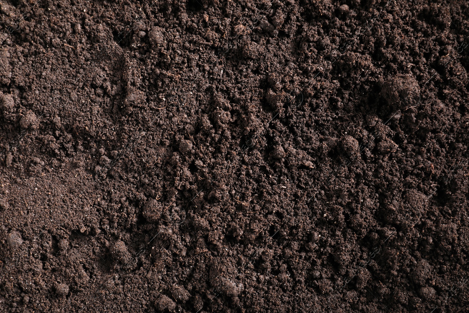 Fresh soil as background, top view. Organic matter Photo of Fresh soil as background, top view. Organic matter