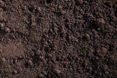 Photo of Fresh soil as background, top view. Organic matter