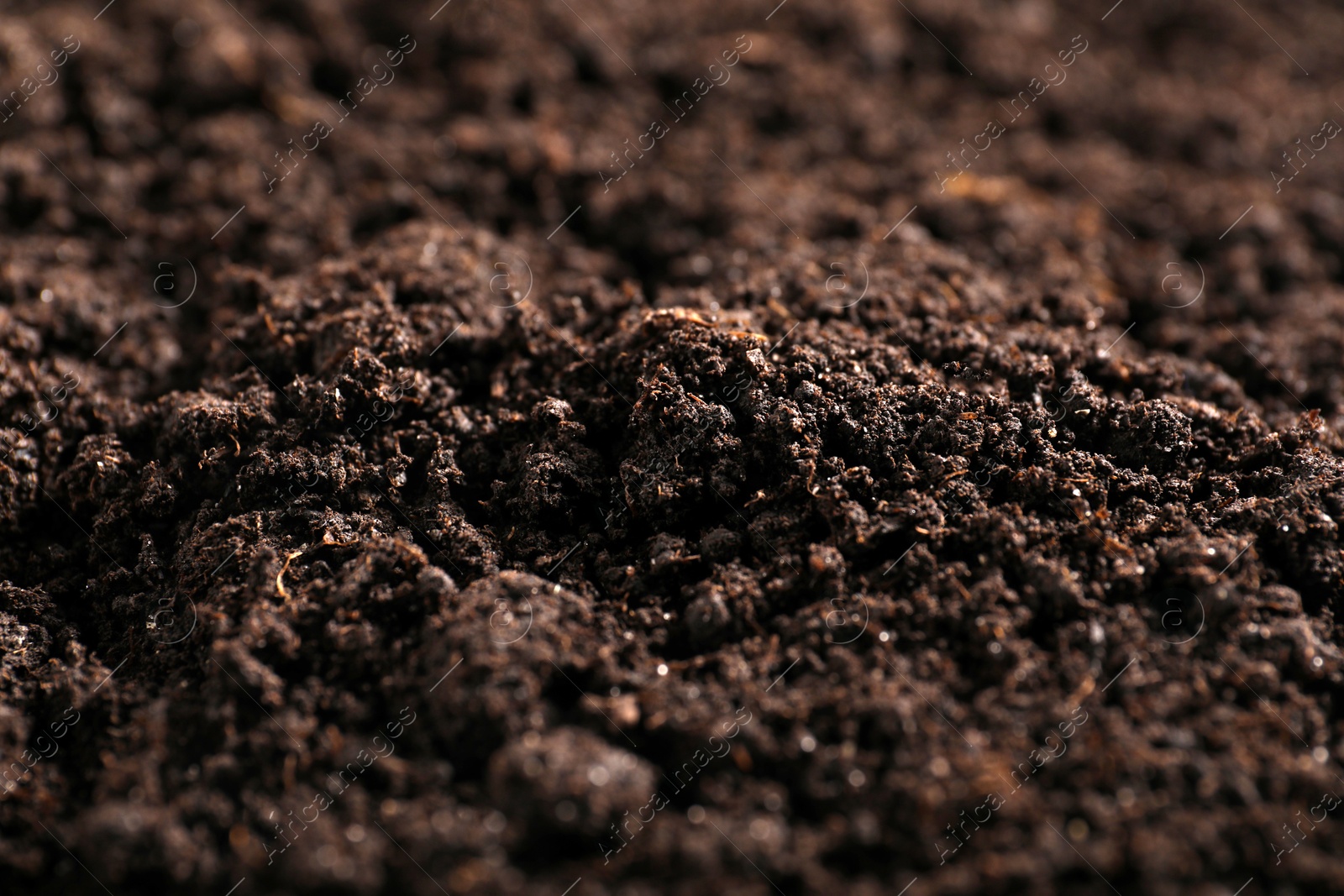 Fresh soil as background, closeup. Organic matter Photo of Fresh soil as background, closeup. Organic matter
