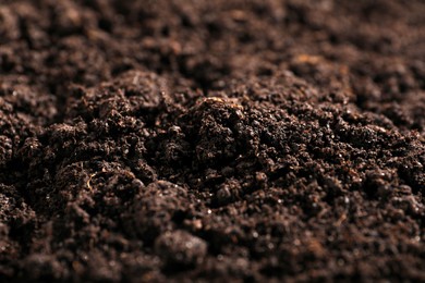 Photo of Fresh soil as background, closeup. Organic matter