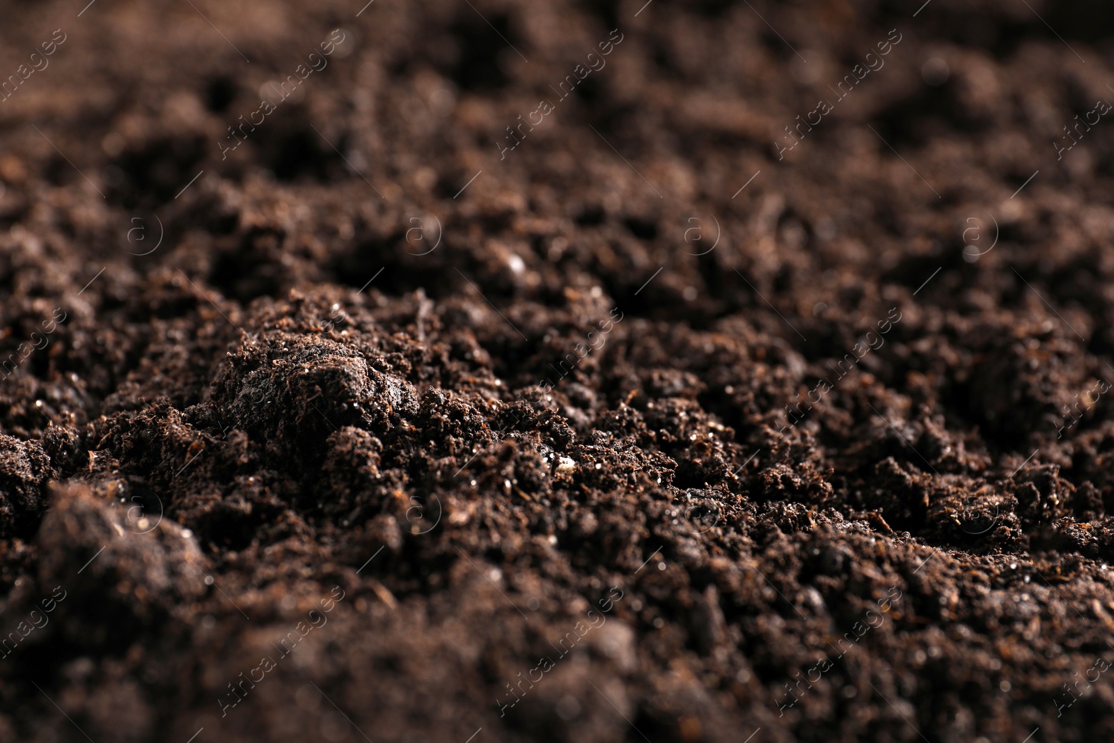 Fresh soil as background, closeup. Organic matter Photo of Fresh soil as background, closeup. Organic matter