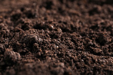 Photo of Fresh soil as background, closeup. Organic matter