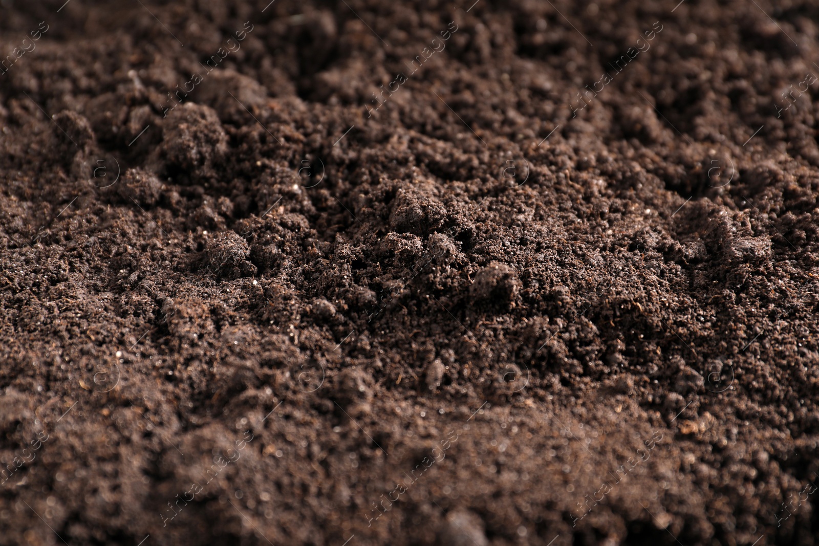 Fresh soil as background, closeup. Organic matter Photo of Fresh soil as background, closeup. Organic matter