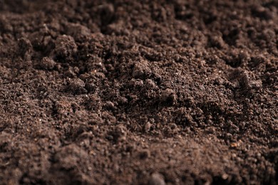 Photo of Fresh soil as background, closeup. Organic matter