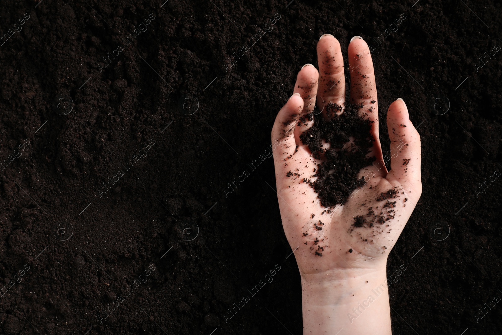 Woman with pile of fresh soil, top view Photo of Woman with pile of fresh soil, top view