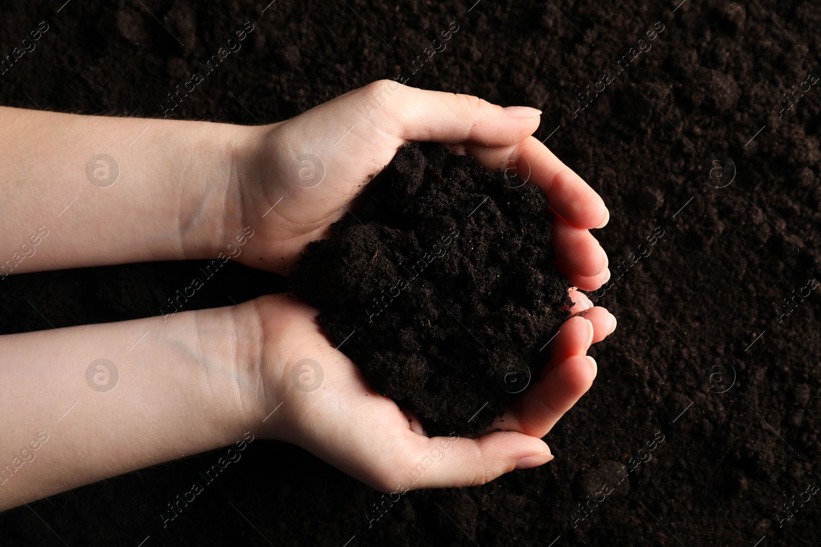 Woman with pile of fresh soil, top view Photo of Woman with pile of fresh soil, top view