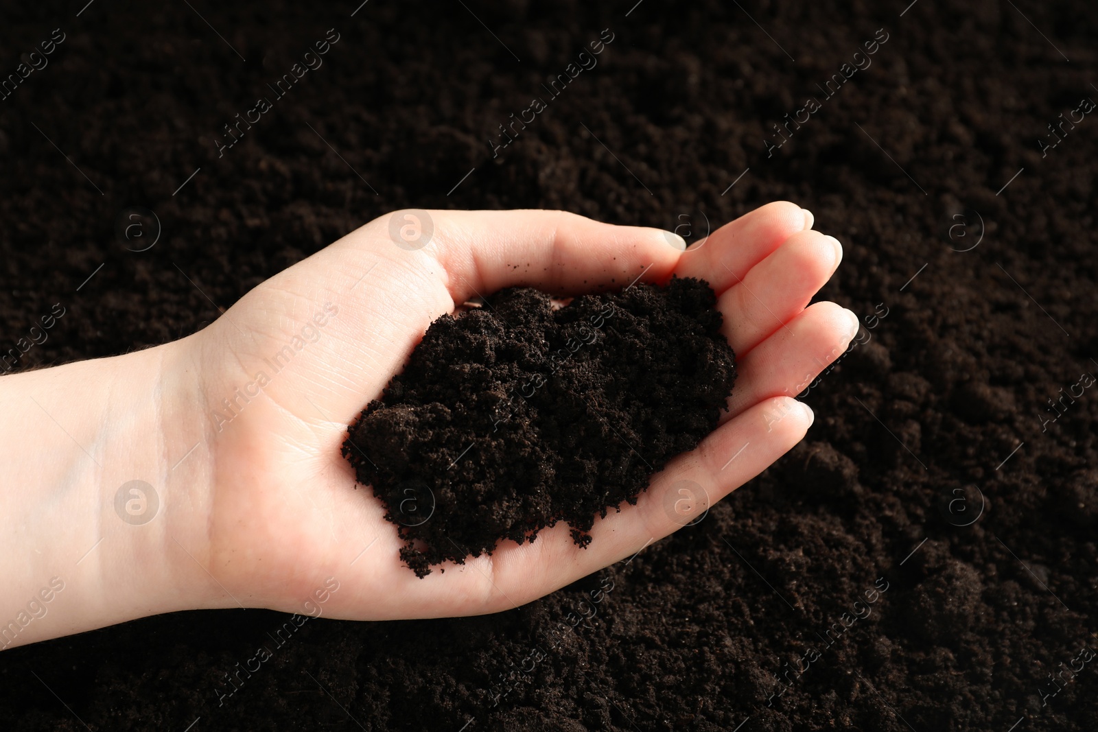 Woman with pile of fresh soil, closeup Photo of Woman with pile of fresh soil, closeup