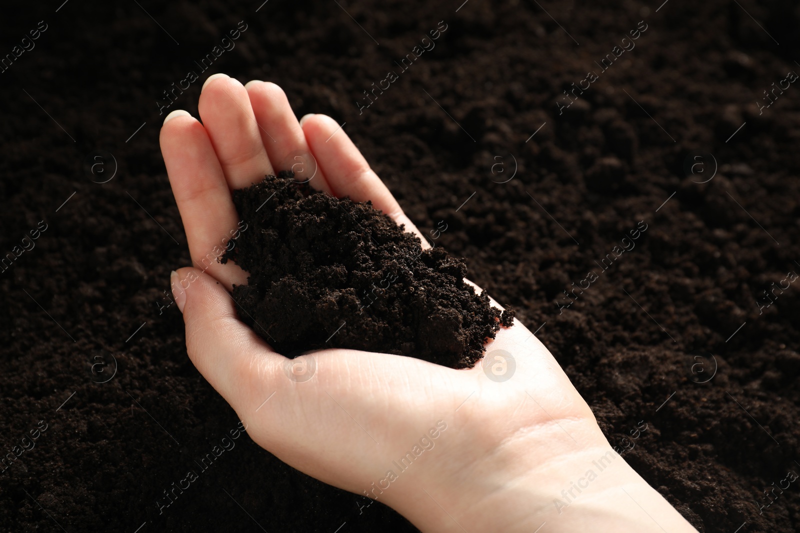 Woman with pile of fresh soil, closeup Photo of Woman with pile of fresh soil, closeup