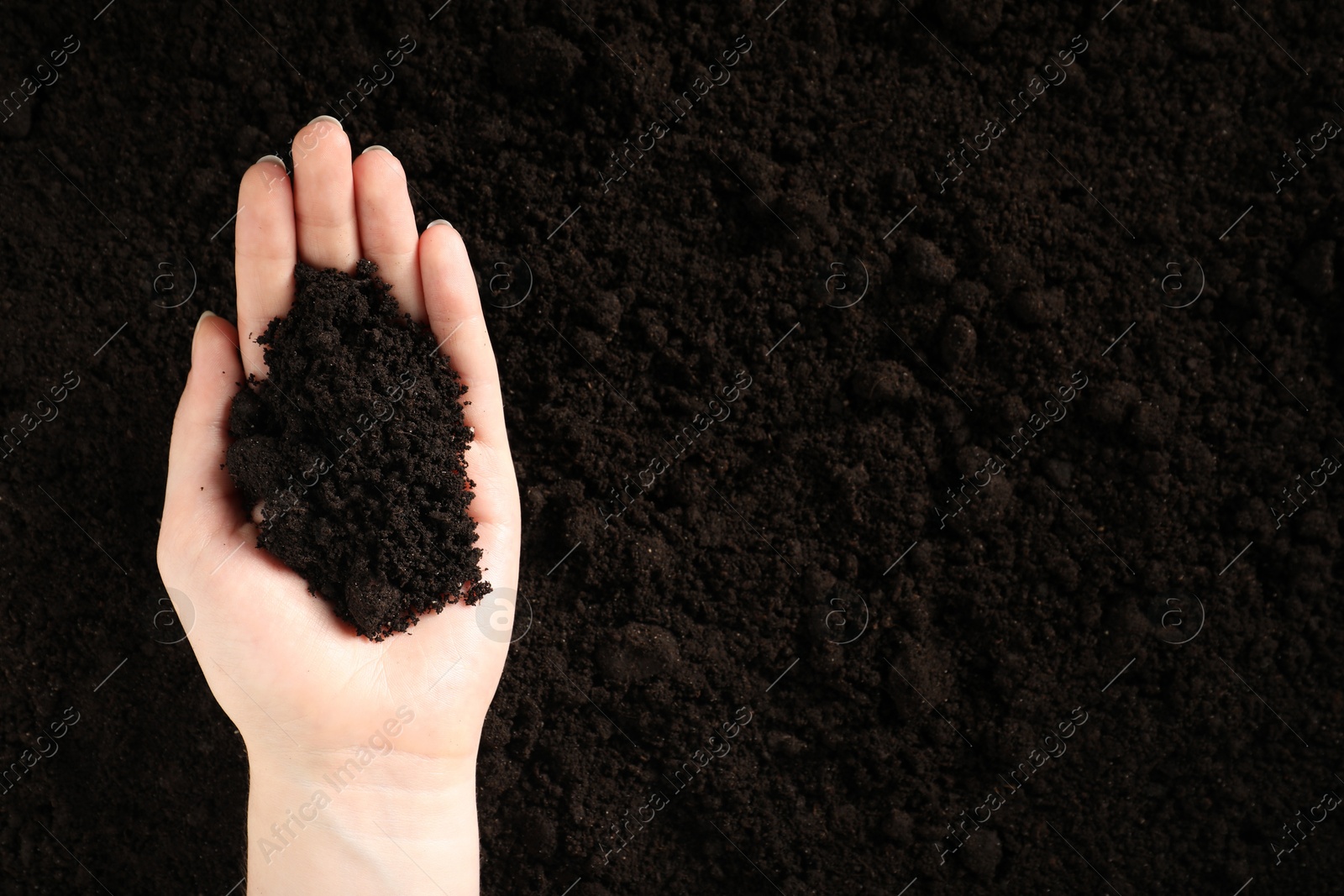 Woman with pile of fresh soil, top view Photo of Woman with pile of fresh soil, top view